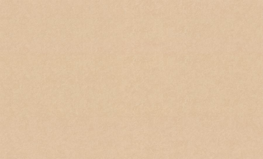 VV72232-29