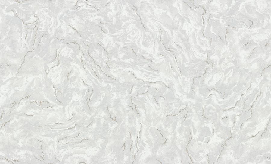 HC31169-41