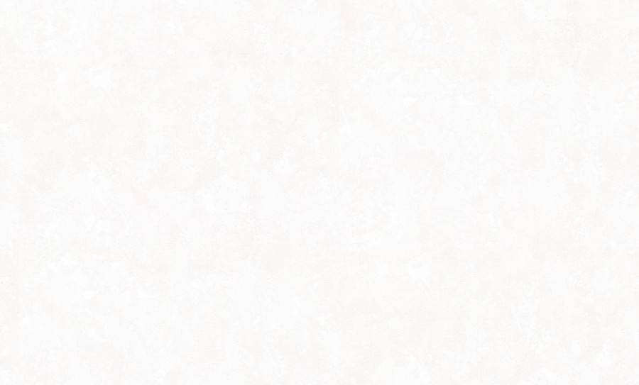 PP72137-11