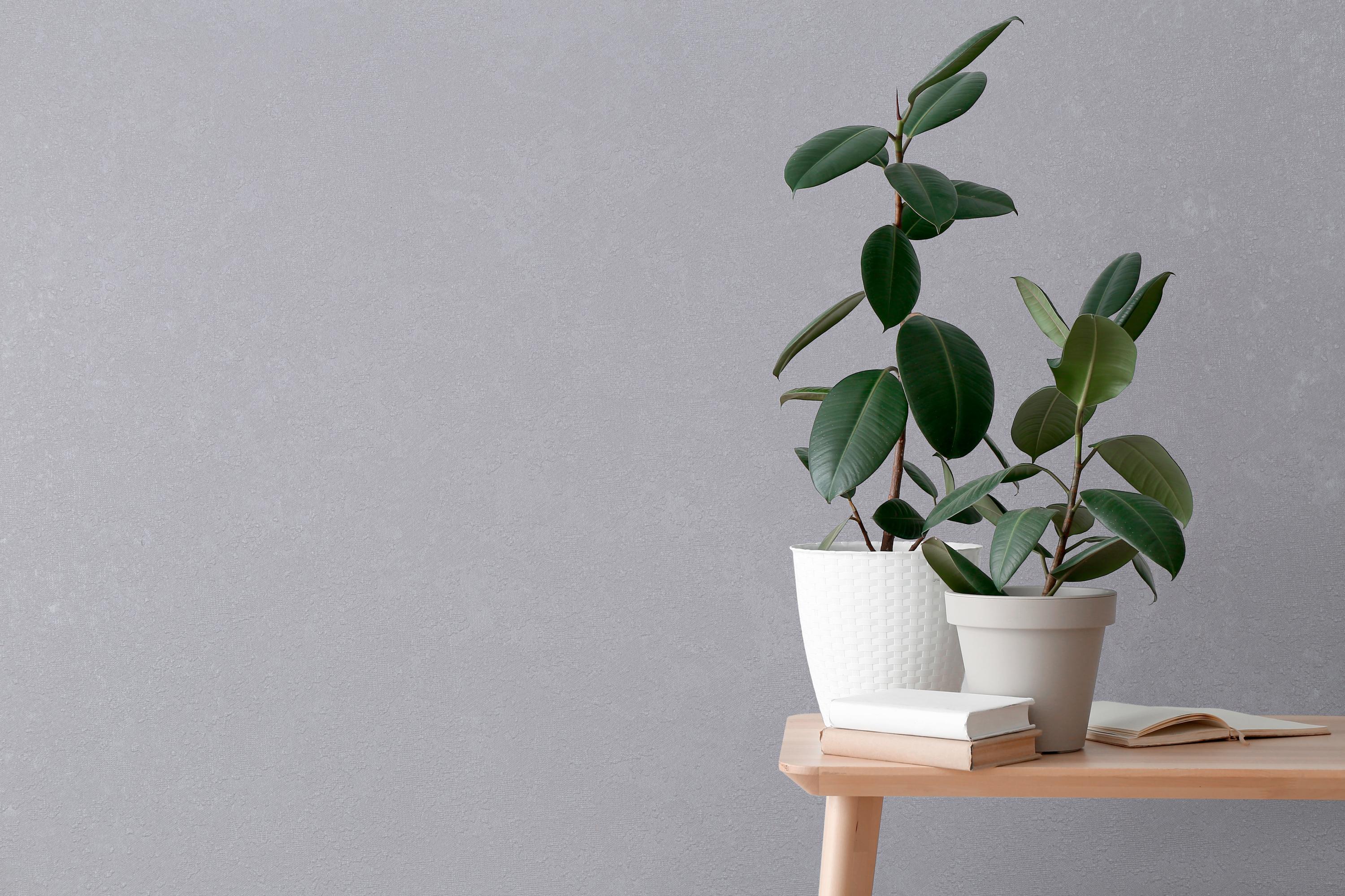 Фоновая картинка