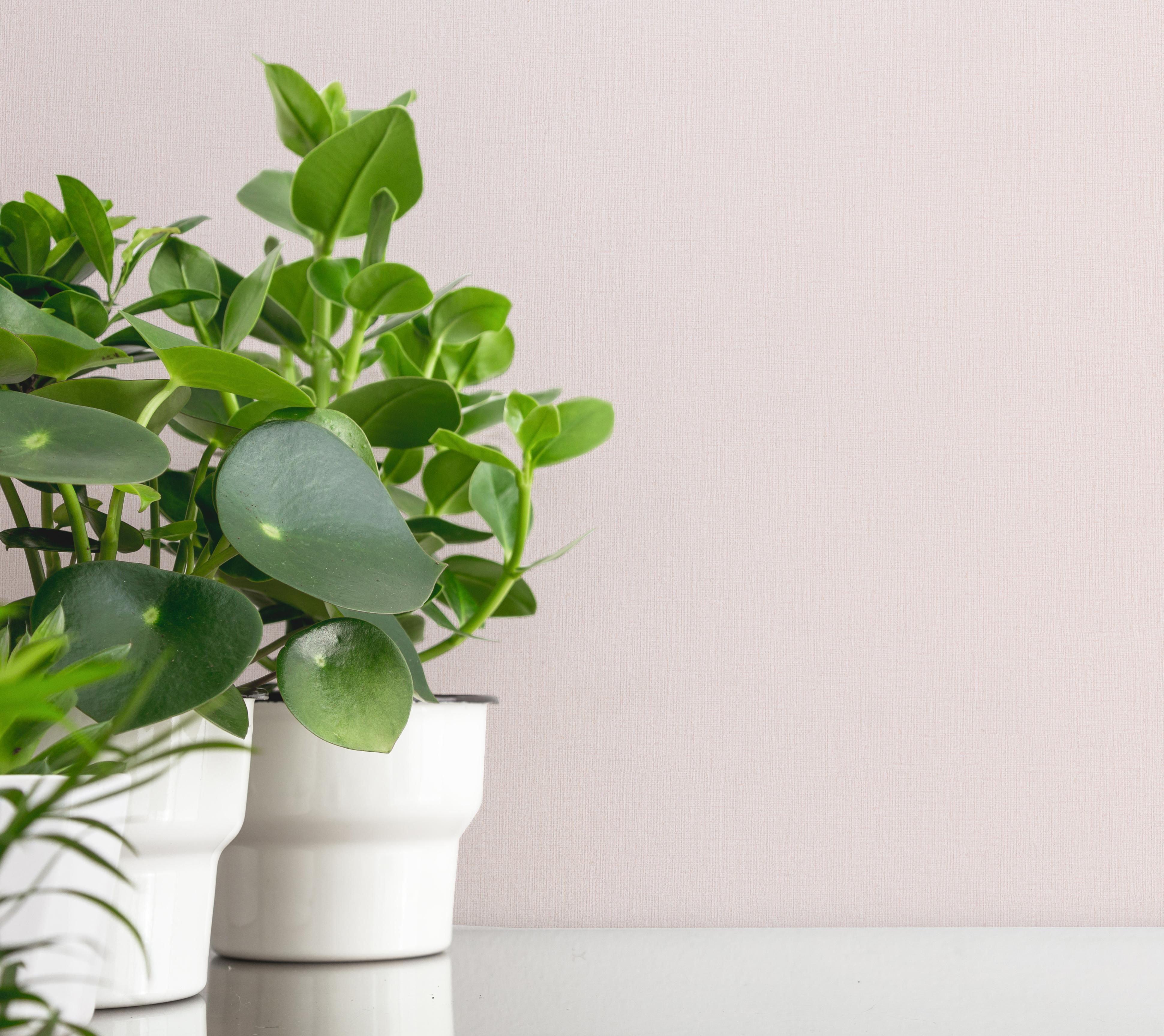 Фоновая картинка