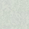 PP72137-67 