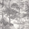 TC72703-41 