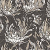 SL71899-49 SL71899-49