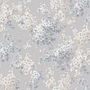 PL72651-41 