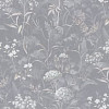SL72412-42 