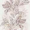 HC11052-28 