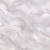 HC72452-24 