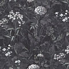 SL72412-44 